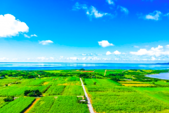 【沖縄トリップ】南海の楽園・小浜島へエリア拡大！