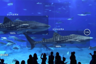 沖縄美ら海水族館　無制限で使えるかざすだけで学べるAI図鑑