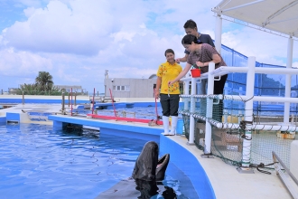 【海洋博公園】「イルカ給餌体験」を毎日開催！