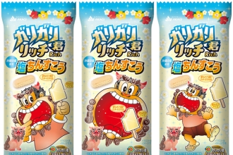  塩ちんすこう味のガリガリ君で、沖縄気分を楽しもう！ 『ガリガリ君リッチ塩ちんすこう』